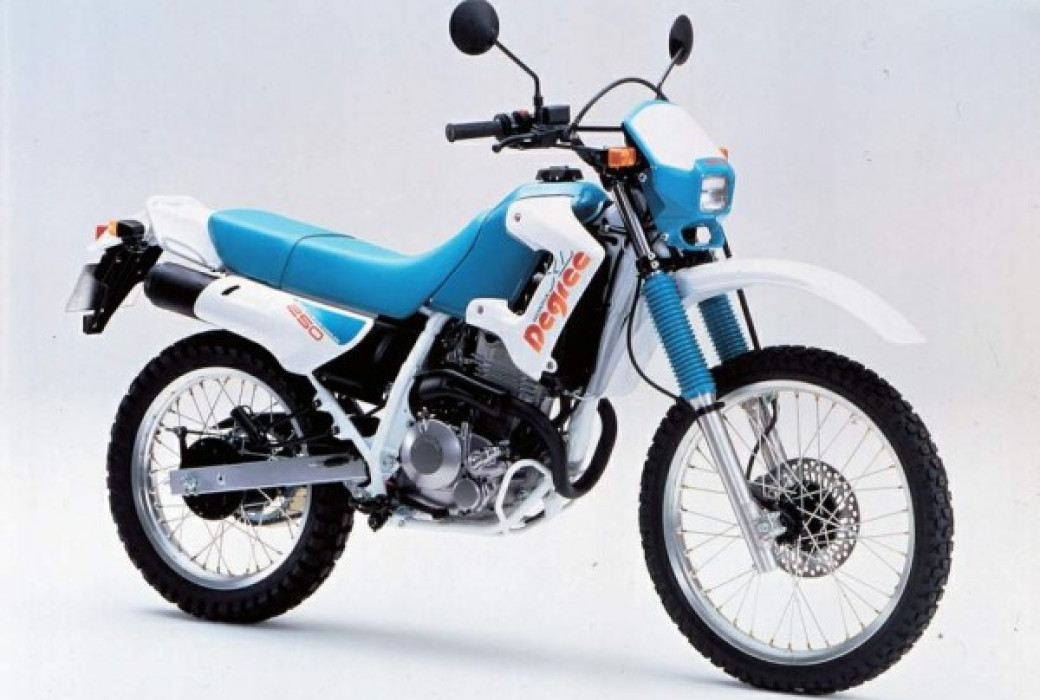 Honda XL 250 Degree